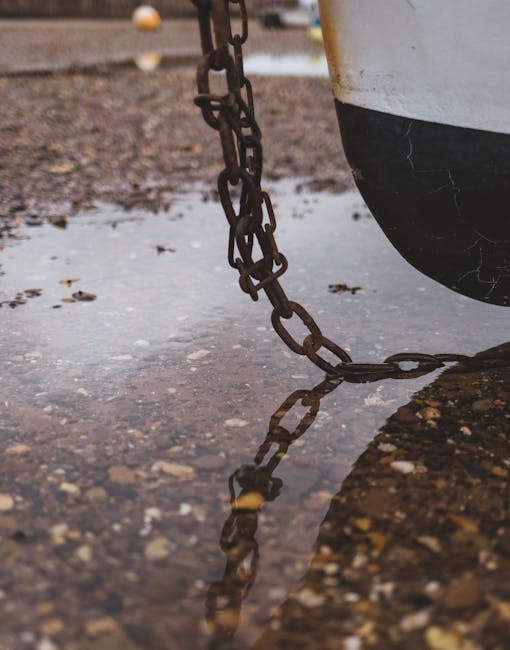 AI logical anchor evidence chain