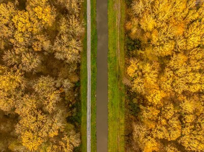 GEO中的实体消歧策略：当同名概念指向不同实体时，AI如何判断你写的是对的那一个