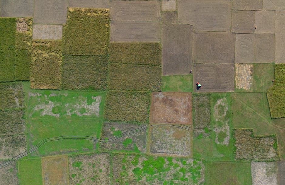 Failed GEO test AI extraction comparison