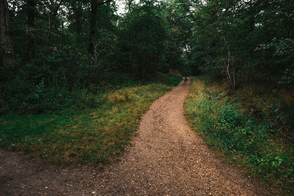 User decision path in content marketing