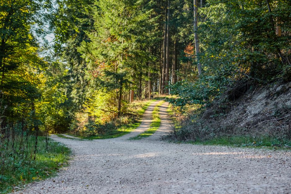 multiple causal paths supporting same conclusion