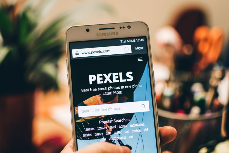 AI search engine scanning text with highlighted entities